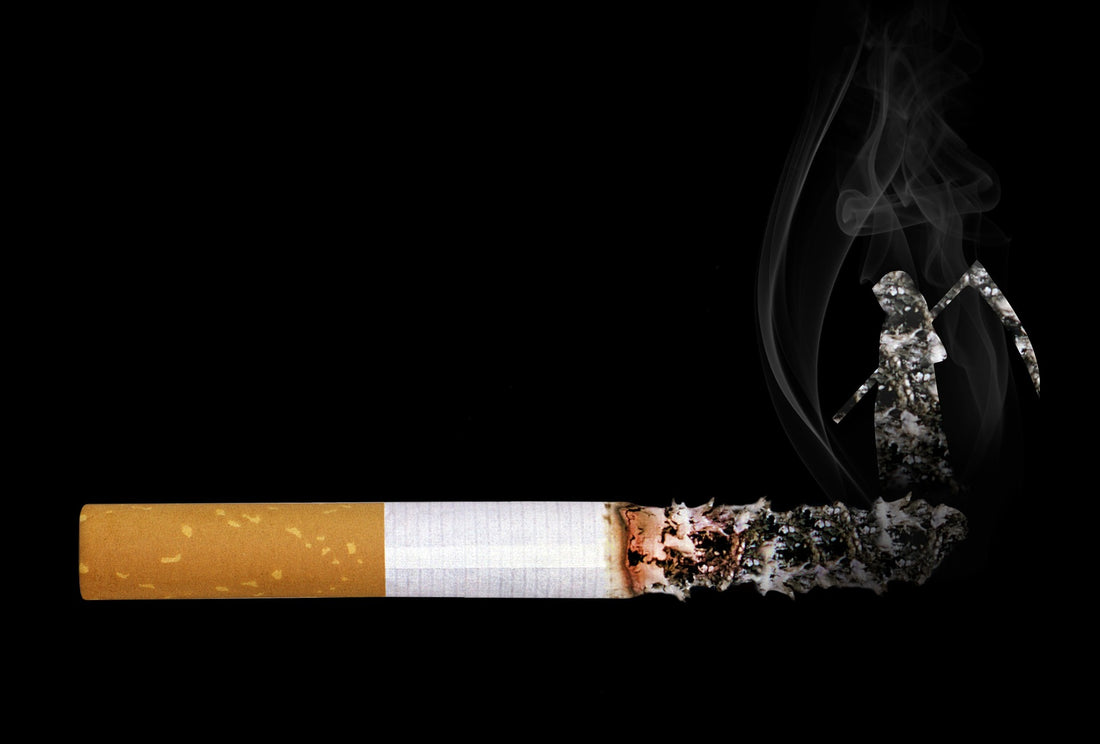 The Smoke and Mirrors of Diet: How Smoking Affects Your Health and Nutrition In New Zealand.